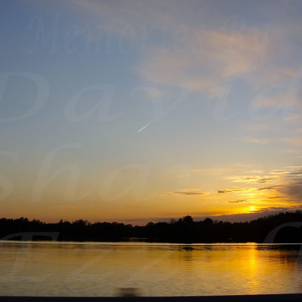DSC09520-David_S_Ezzell-dezzell.com_Preview
