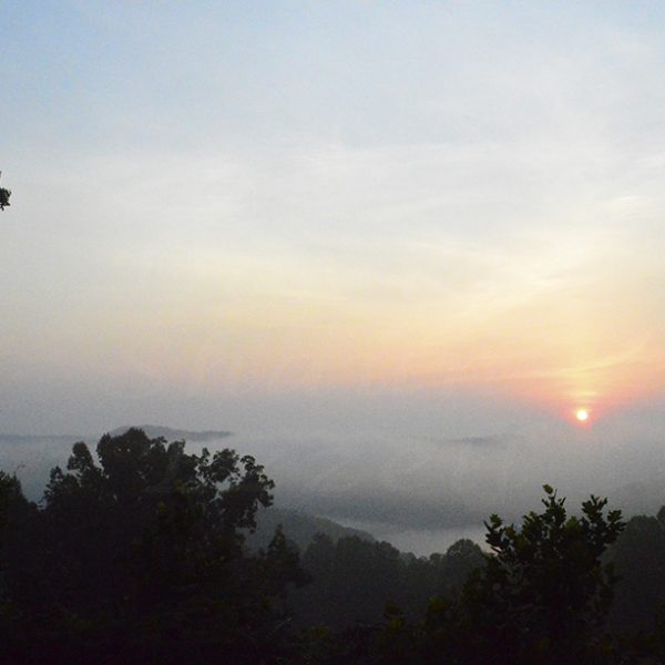 _DSC1623.jpg-David_S_Ezzell-dezzell-com_Preview