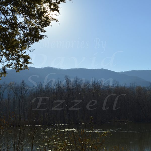 _DSC9535.jpg-David_S_Ezzell-dezzell-com_Preview