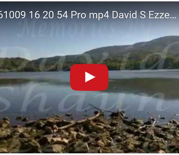 WP_20161009_16_20_54_Pro.mp4-David_S_Ezzell-dezzell-com-preview