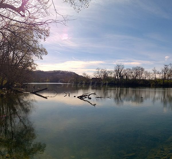 WP_20170322_11_09_06_Panorama.jpg-David_S_Ezzell-dezzell-com_Preview