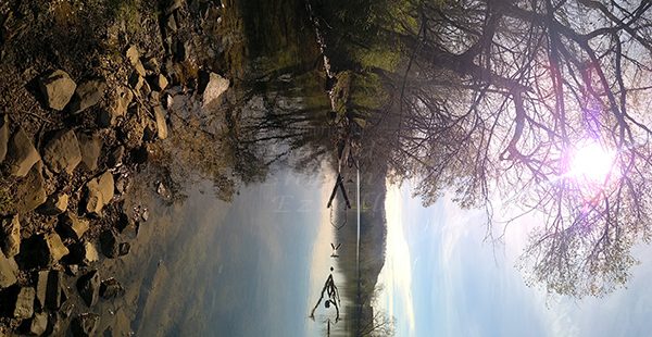 WP_20170322_11_09_16_Panorama.jpg-David_S_Ezzell-dezzell-com_Preview