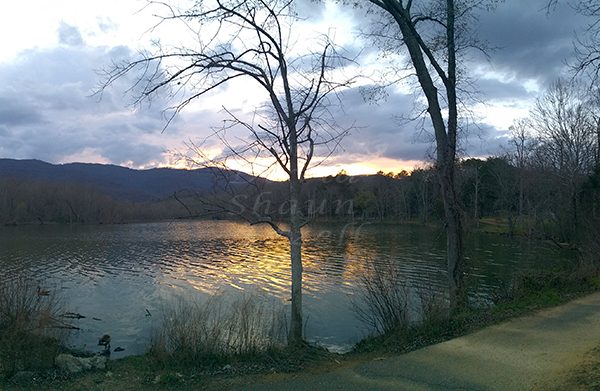 WP_20170325_19_38_25_Panorama.jpg-David_S_Ezzell-dezzell-com_Preview