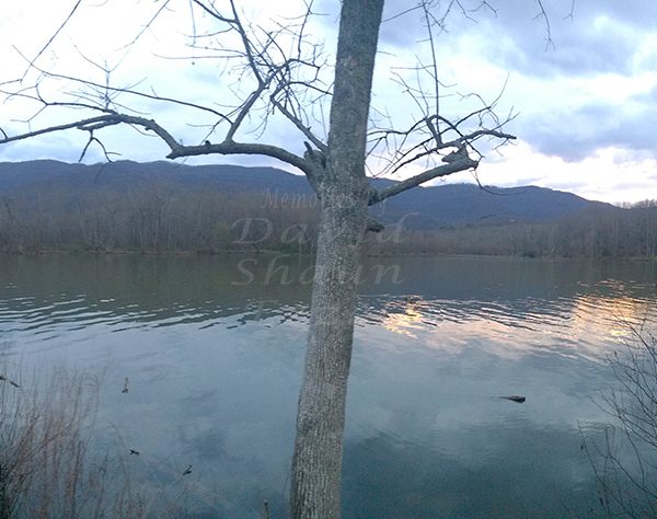 WP_20170325_19_47_04_Panorama.jpg-David_S_Ezzell-dezzell-com_Preview