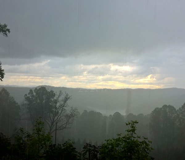 WP_20170417_17_33_08_Pro_LI.jpg-David_S_Ezzell-dezzell-com_Preview