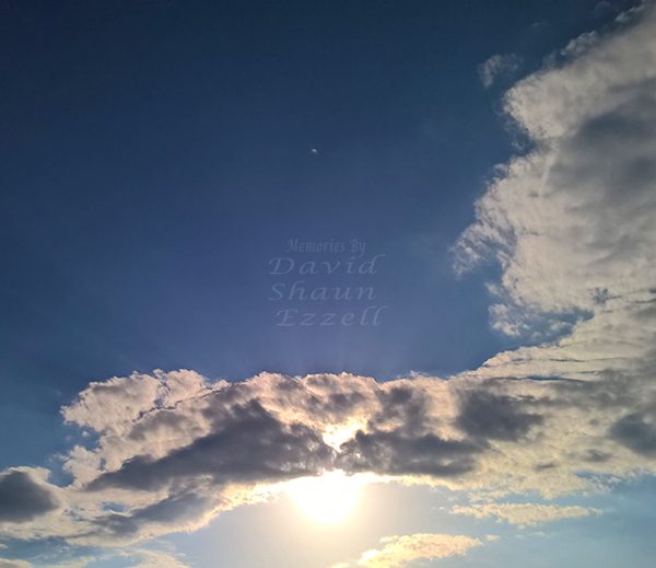 WP_20170420_18_35_48_Pro_LI.jpg-David_S_Ezzell-dezzell-com_Preview
