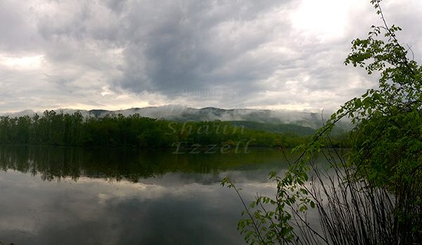 WP_20170421_18_12_11_Panorama.jpg-David_S_Ezzell-dezzell-com_Preview