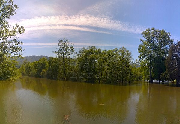 WP_20170426_15_52_05_Panorama.jpg-David_S_Ezzell-dezzell-com_Preview