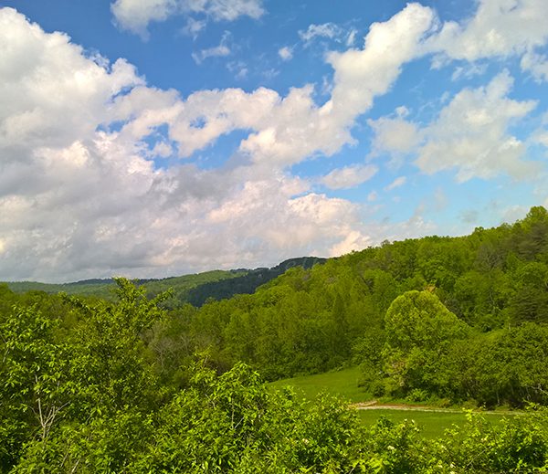 WP_20170427_14_50_51_Pro_LI.jpg-David_S_Ezzell-dezzell-com_Preview