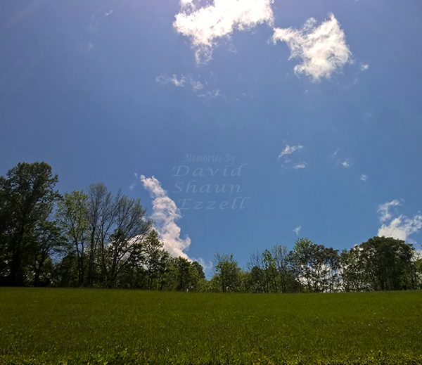 WP_20170427_14_51_22_Pro_LI.jpg-David_S_Ezzell-dezzell-com_Preview