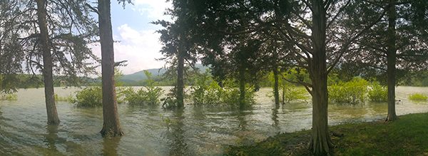 WP_20170428_15_30_41_Panorama.jpg-David_S_Ezzell-dezzell-com_Preview