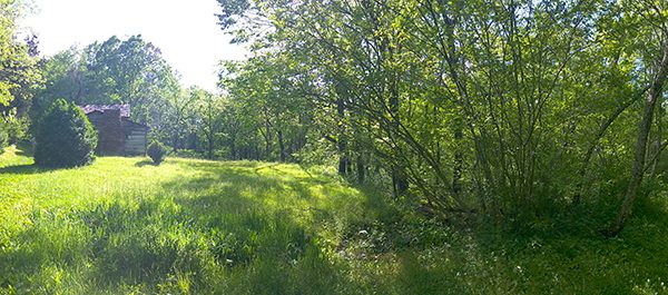 WP_20170513_17_31_30_Panorama.jpg-David_S_Ezzell-dezzell-com_Preview