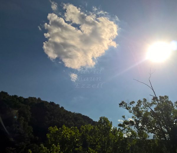 WP_20170514_17_44_53_Pro_LI.jpg-David_S_Ezzell-dezzell-com_Preview