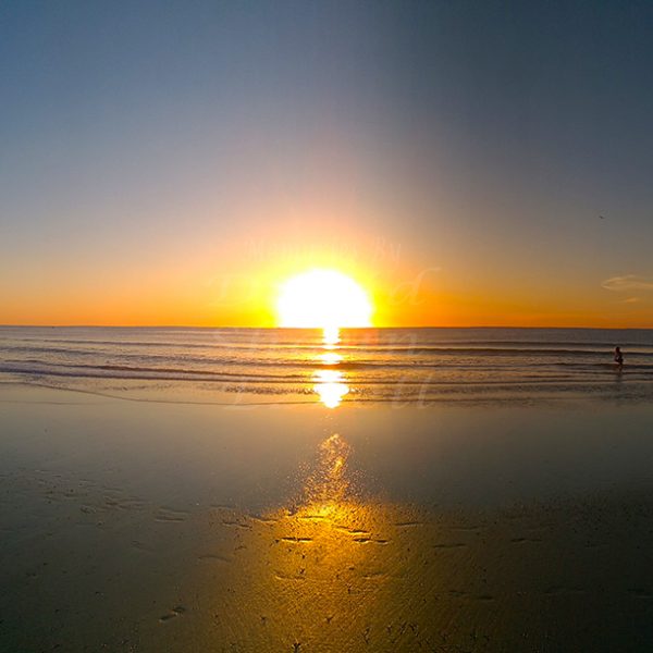 WP_20170526_06_38_52_Panorama.jpg-David_S_Ezzell-dezzell-com_Preview