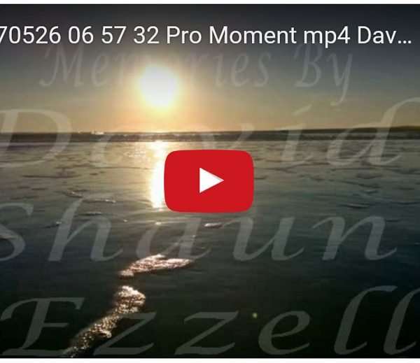 WP_20170526_06_57_32_Pro_Moment.mp4-David_S_Ezzell-dezzell-com-preview