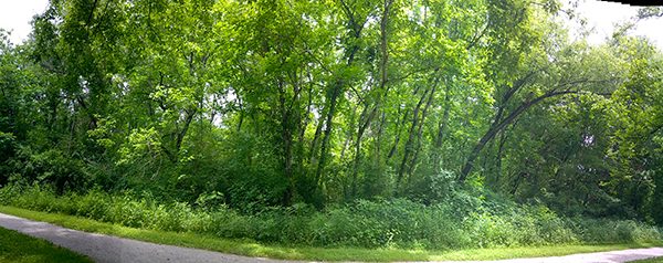 WP_20170606_13_42_42_Panorama.jpg-David_S_Ezzell-dezzell-com_Preview