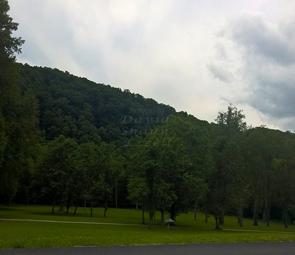 WP_20170606_13_54_31_Pro_LI.jpg-David_S_Ezzell-dezzell-com_Preview