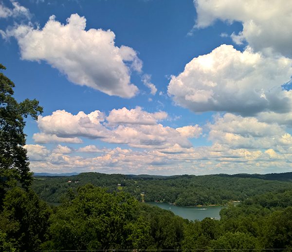 WP_20170607_14_45_17_Pro_LI.jpg-David_S_Ezzell-dezzell-com_Preview