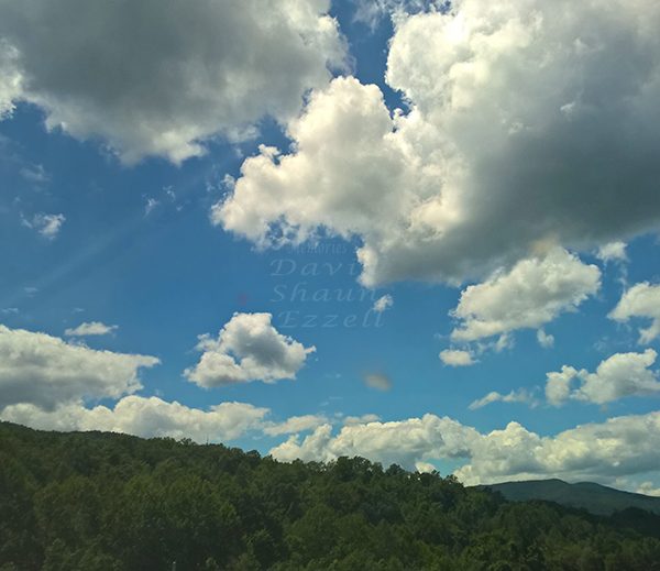 WP_20170607_15_07_06_Pro_LI.jpg-David_S_Ezzell-dezzell-com_Preview