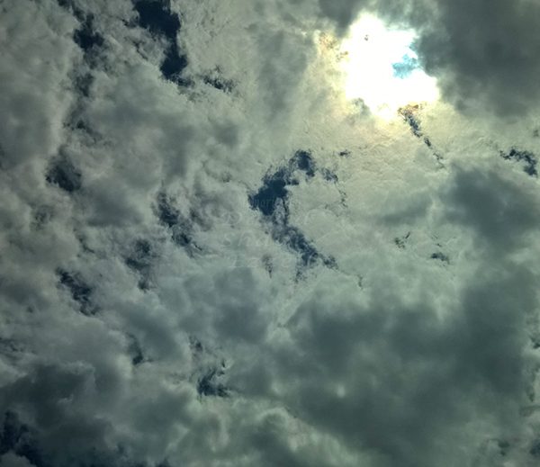 WP_20170608_15_00_38_Pro_LI.jpg-David_S_Ezzell-dezzell-com_Preview