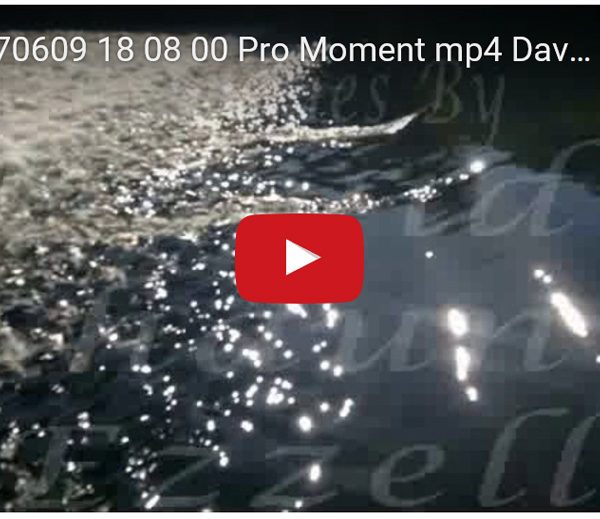 WP_20170609_18_08_00_Pro_Moment.mp4-David_S_Ezzell-dezzell-com-preview