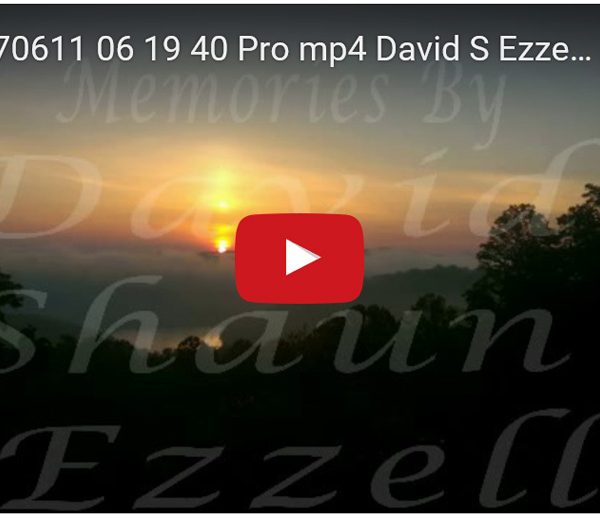 WP_20170611_06_19_40_Pro.mp4-David_S_Ezzell-dezzell-com-preview