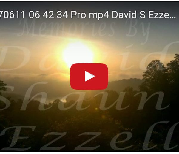 WP_20170611_06_42_34_Pro.mp4-David_S_Ezzell-dezzell-com-preview