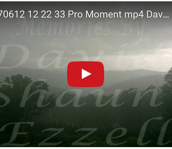 WP_20170612_12_22_33_Pro_Moment.mp4-David_S_Ezzell-dezzell-com-preview