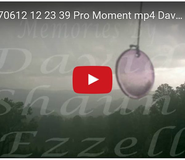 WP_20170612_12_23_39_Pro_Moment.mp4-David_S_Ezzell-dezzell-com-preview