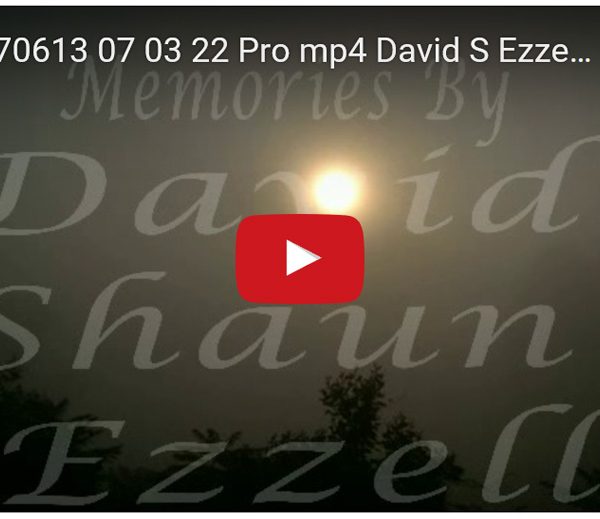WP_20170613_07_03_22_Pro.mp4-David_S_Ezzell-dezzell-com-preview