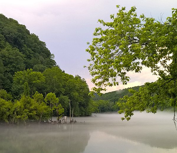 WP_20170614_16_44_39_Pro_LI.jpg-David_S_Ezzell-dezzell-com_Preview
