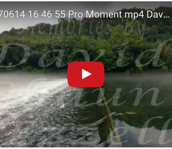 WP_20170614_16_46_55_Pro_Moment.mp4-David_S_Ezzell-dezzell-com-preview