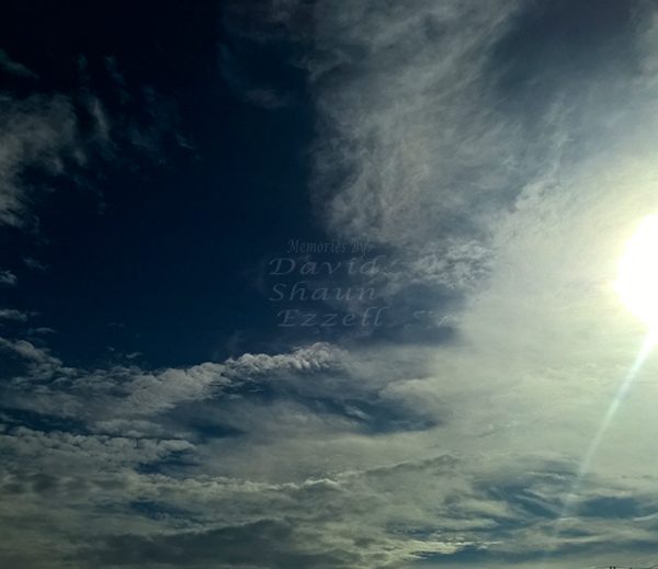 WP_20170615_18_12_57_Pro_LI.jpg-David_S_Ezzell-dezzell-com_Preview
