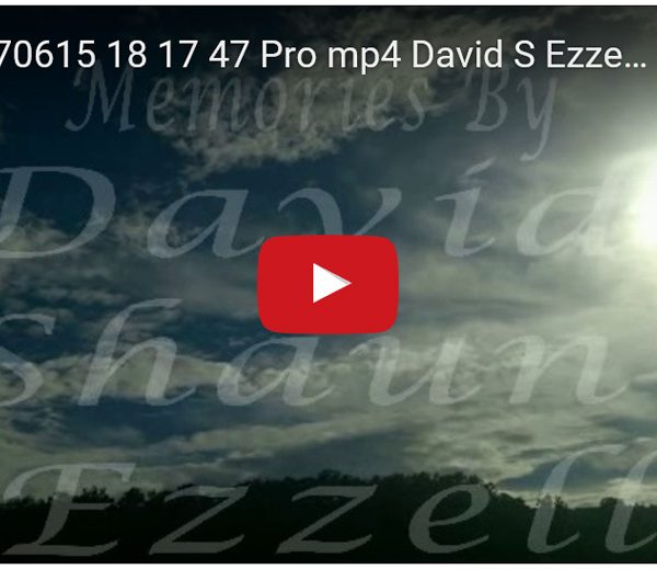 WP_20170615_18_17_47_Pro.mp4-David_S_Ezzell-dezzell-com-preview