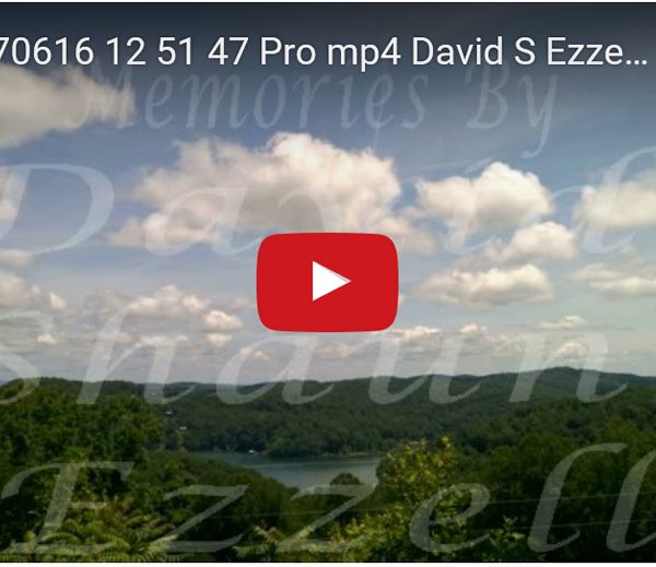 WP_20170616_12_51_47_Pro.mp4-David_S_Ezzell-dezzell-com-preview