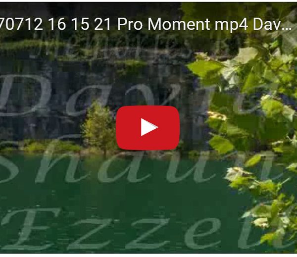 WP_20170712_16_15_21_Pro_Moment.mp4-David_S_Ezzell-dezzell-com-preview