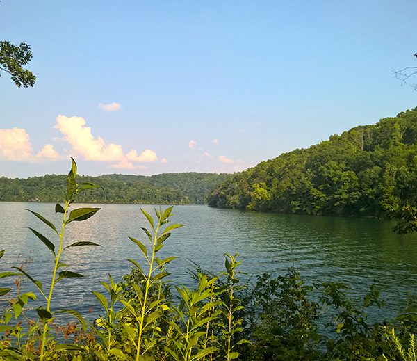WP_20170712_18_11_44_Pro_LI.jpg-David_S_Ezzell-dezzell-com_Preview