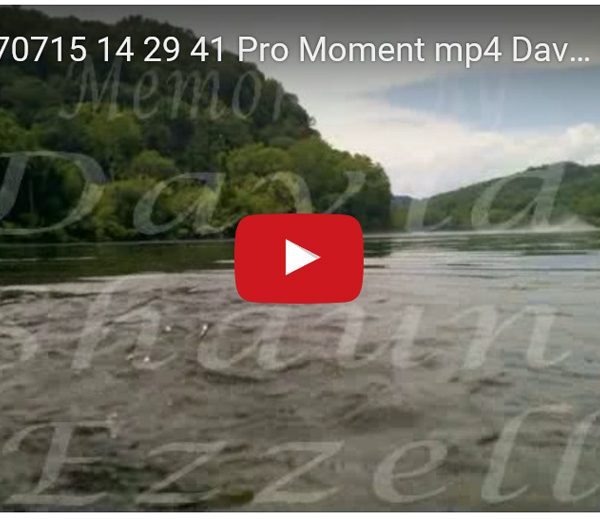 WP_20170715_14_29_41_Pro_Moment.mp4-David_S_Ezzell-dezzell-com-preview