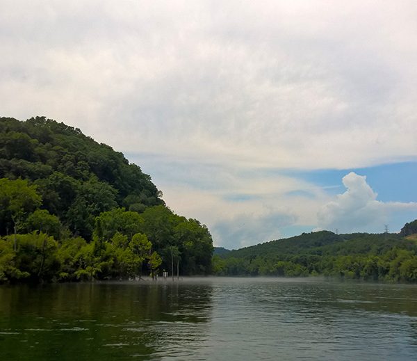 WP_20170715_14_39_59_Pro_LI.jpg-David_S_Ezzell-dezzell-com_Preview